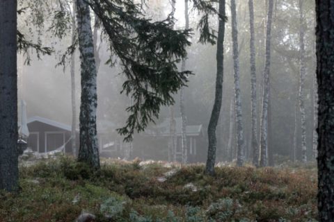 Sumuinen aamu saaressa