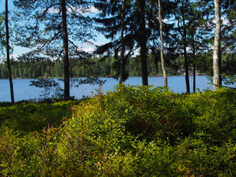 Oi, mikä viikonloppu!