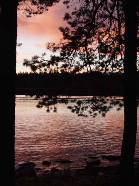 Viimeisiä viedään!
