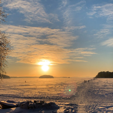 Ferritiinikuulumisia